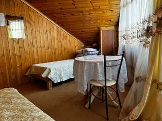 Гостиница Ёлочка Листвянка Бюджетный двухместный номер с 2 отдельными кроватями-5