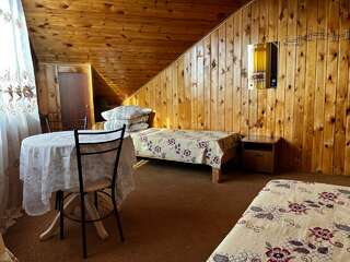 Гостиница Ёлочка Листвянка Бюджетный двухместный номер с 2 отдельными кроватями-4