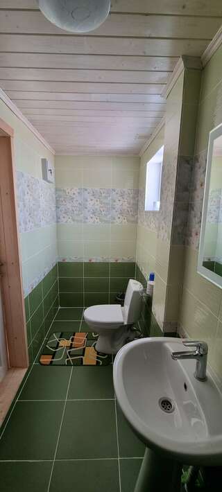 Гостиница Ёлочка Листвянка Трехместный номер «Комфорт» с душем-3